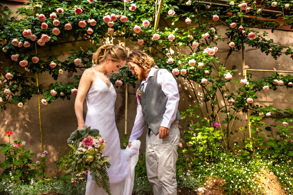 The Berry Delightful-1837646